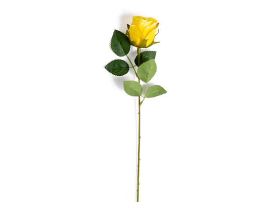 YELLOW ROSE BUD