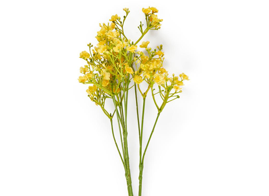 YELLOW VEIL