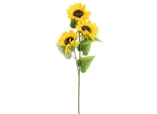 SUNFLOWER 3 FLOWERS